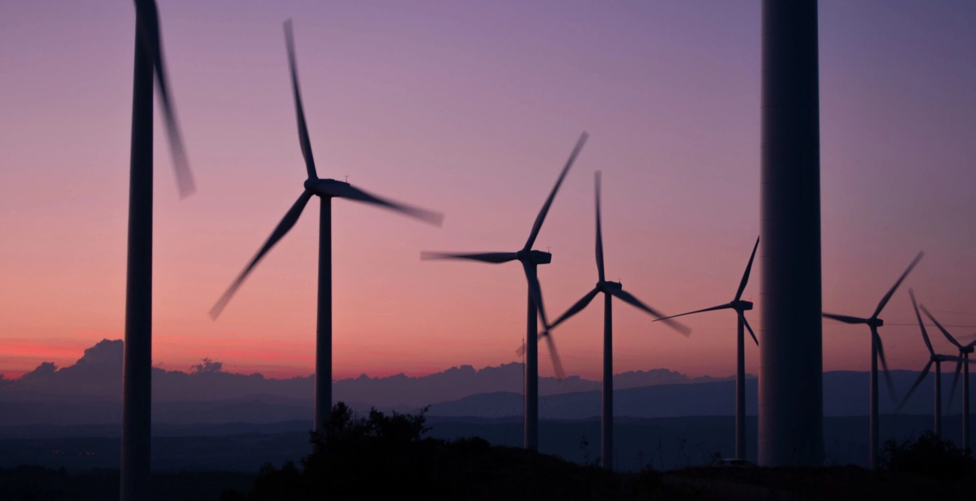 The Green Divide: What the Latest Rightmove Report Tells Us About Energy-Efficient Homes